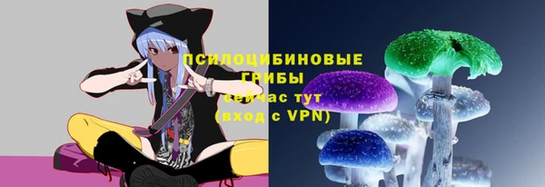 мескалин Ладушкин