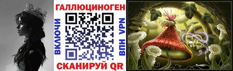 Псилоцибиновые грибы Psilocybine cubensis  Смоленск 